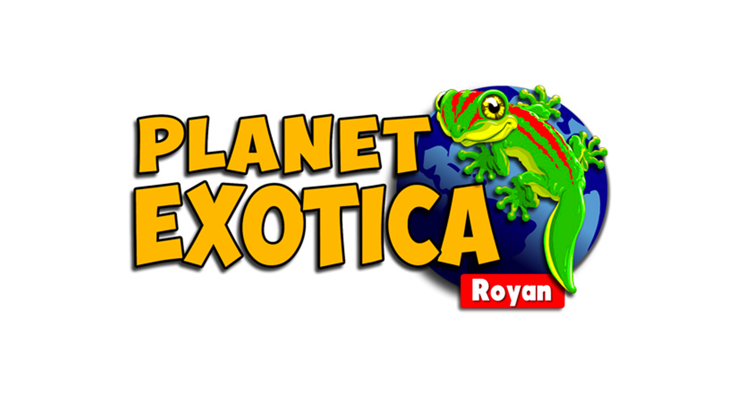 Planet exotica