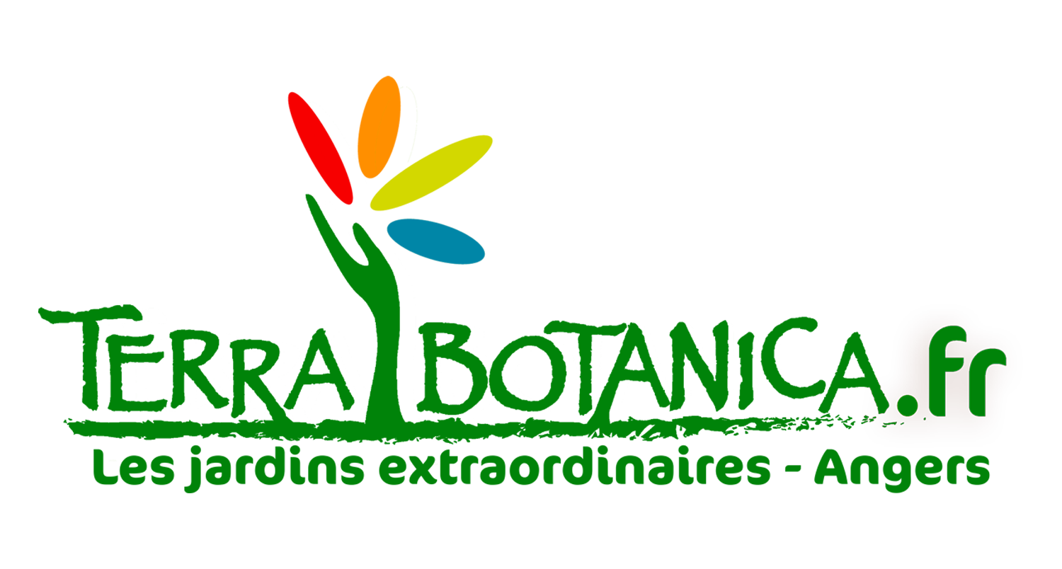 Terra botanica